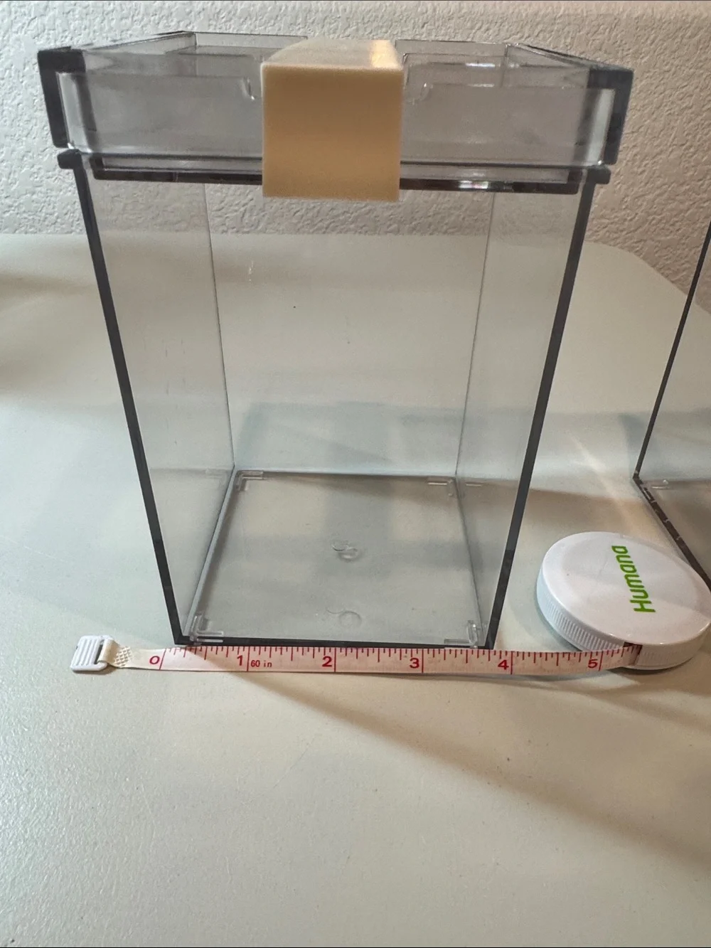Clear Modular Containers with Cream Accents